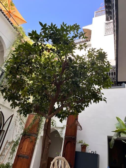 Riad Dar Fannan En Exclusivite มาร์ราเกช ภายนอก รูปภาพ